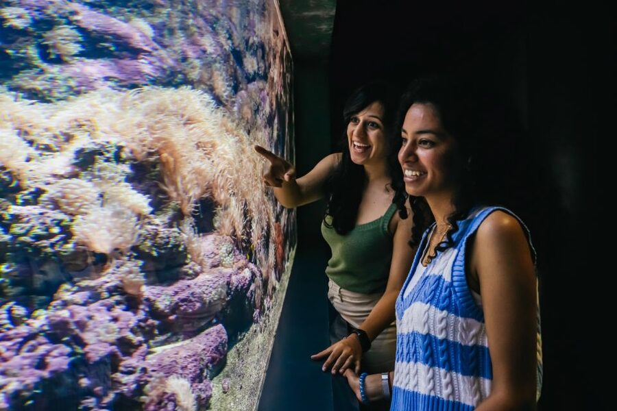 Heraklion Area: CRETAquarium Admission Ticket - The science side that makes it more than a fish room