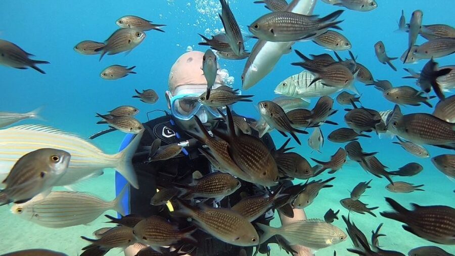 Heraklion: Beginner Scuba Diving Lesson with PADI Instructor - Who should book, and who should skip this scuba lesson