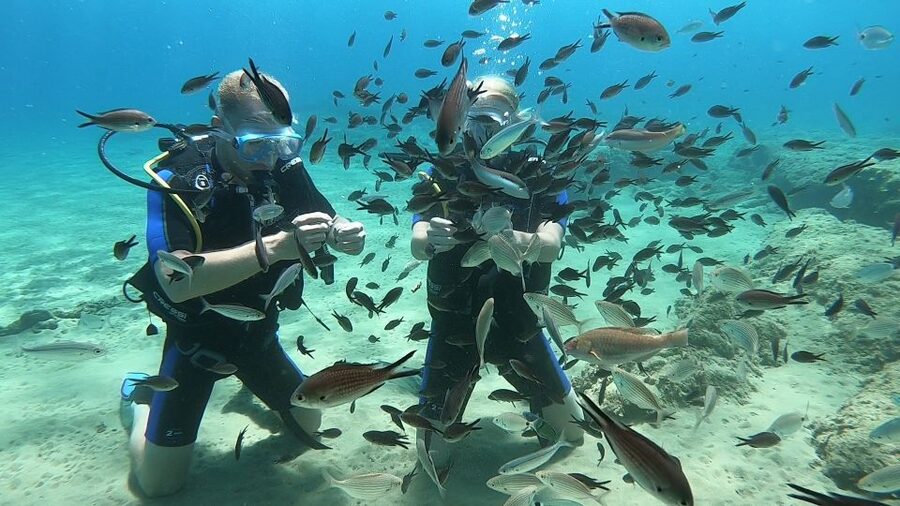 Heraklion: Beginner Scuba Diving Lesson with PADI Instructor - Gear fitting and safety briefing: what you get, and why it matters