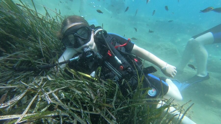 Heraklion: Beginner Scuba Diving Lesson with PADI Instructor - Price and value: does $88 make sense for what you get?