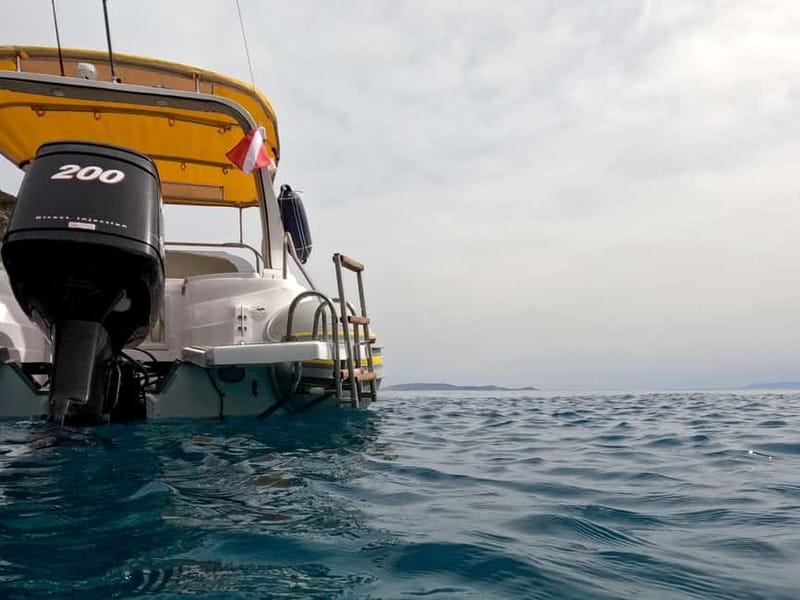 Heraklion: Boat Safari with guided snorkeling/diving tour. - The first stop near the seal cave: guided snorkeling that actually helps