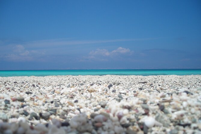 Heraklion: Chrissi Island and Ierapetra Cruise - Price and value: what you get for $72.56