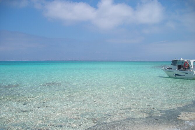 Heraklion: Chrissi Island and Ierapetra Cruise - Who this trip suits best, and who should skip it