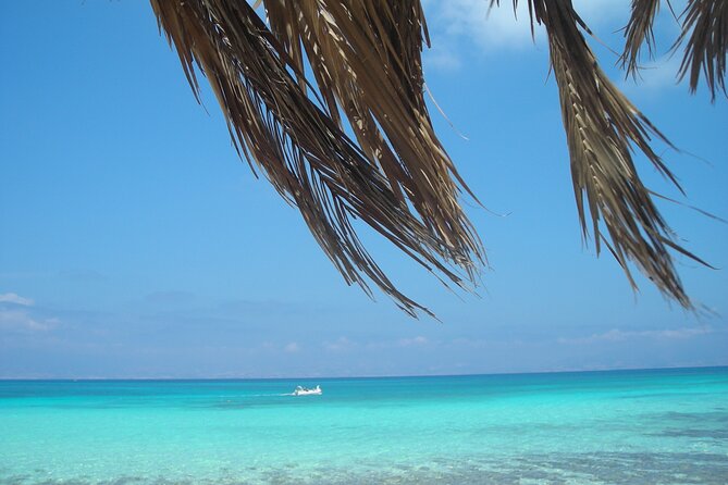 Heraklion: Chrissi Island and Ierapetra Cruise - Chrissi Island by sea: Golden Beach and Vougiou Mati swim time