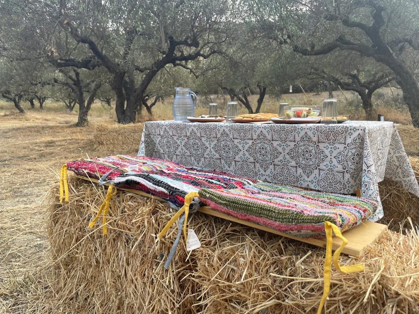 Heraklion: Cretan Farmers Brunch and Olive Grove Tour - From the Gate: What You’re Really Signing Up For in Heraklion