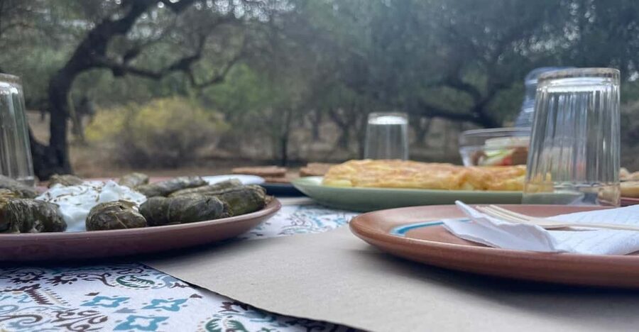 Heraklion: Cretan Farmers Brunch and Olive Grove Tour - Olive Grove Tour: How Olive Oil Production Fits Real Farm Time