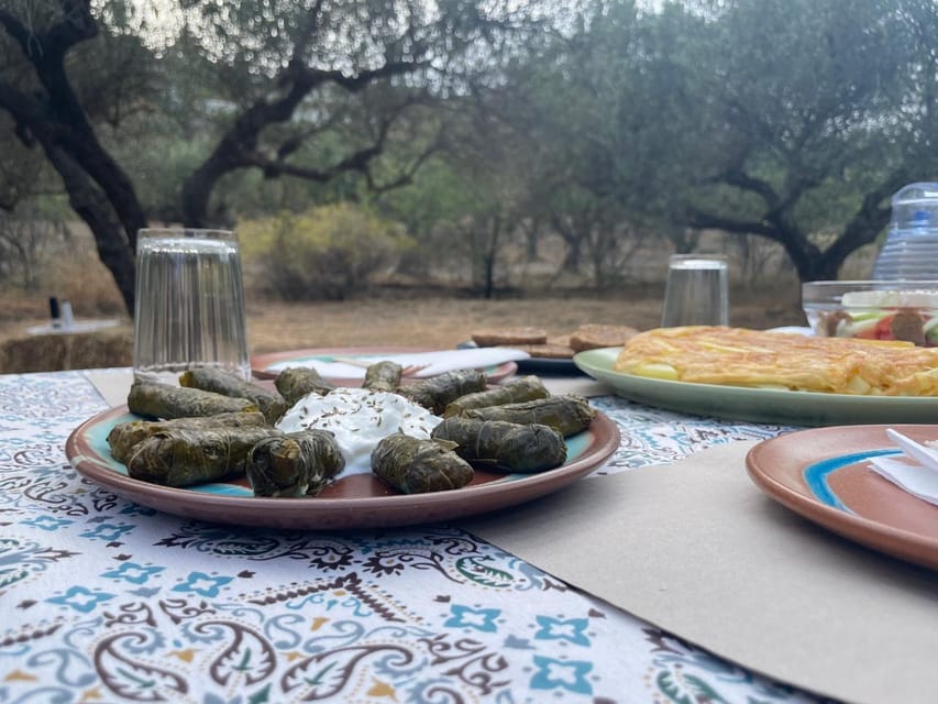 Heraklion: Cretan Farmers Brunch and Olive Grove Tour - Dragon Fruit on a Cretan Farm: The Rare Tasting Moment