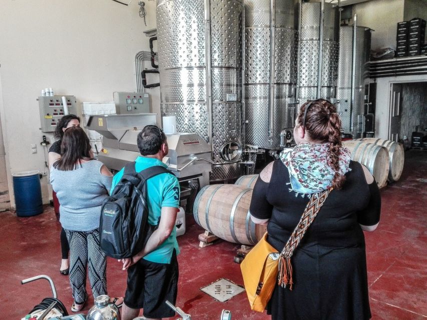 Heraklion: Cretan Wine Tasting Tour & Gourmet Lunch - Lunch in the wine region: where the day really clicks