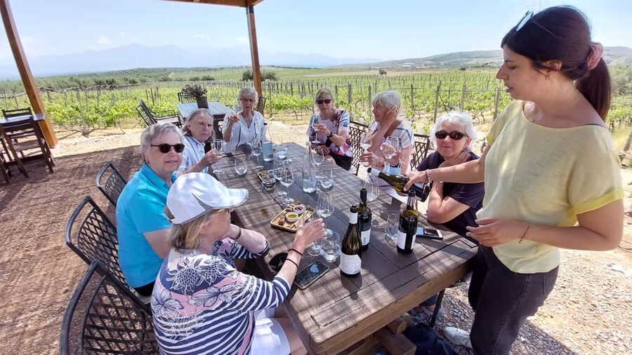 Heraklion: Cretan Wine Tasting Tour & Gourmet Lunch - Pickup from Heraklion and the small-group advantage