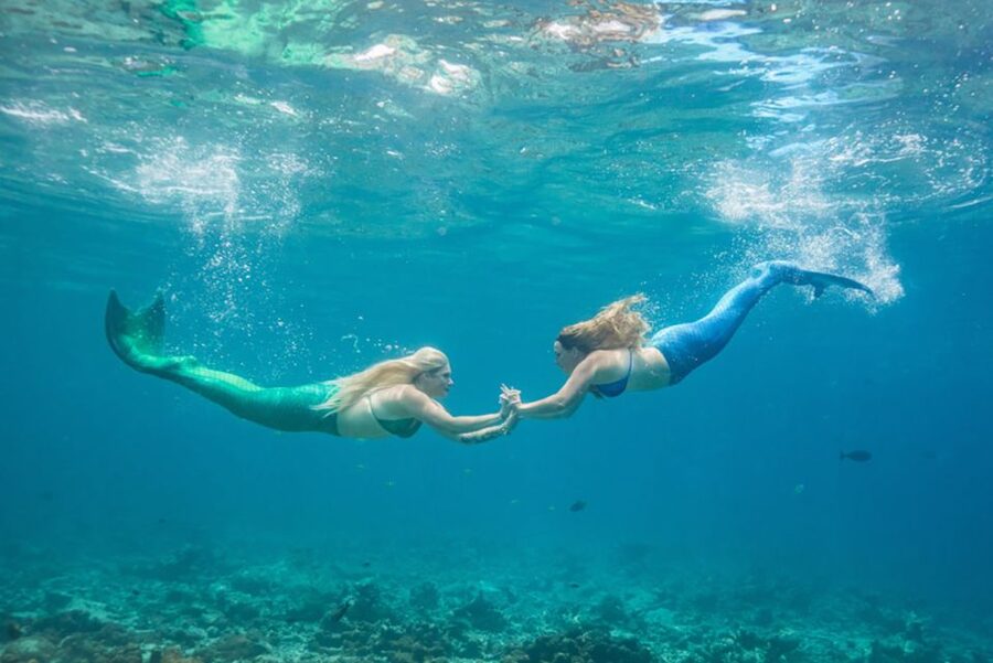 Heraklion: Diving, Swimming, and Snorkeling like a Mermaid - Getting to the Water: Pickup, Vans, and the Port Meeting Point