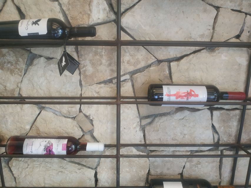 Heraklion: Ecobike Tour with Wine Tasting - Getting Set Up: ecobikegreece.gr and a WhatsApp Message
