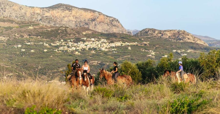 Heraklion: Finikia Horse Riding Tour with Lunch or Dinner - Morning pickup at 8:00-8:50, or arrive by 09:00, then back around 12:15