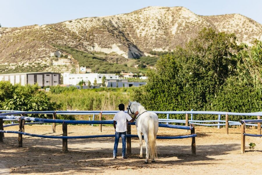 Heraklion: Finikia Horse Riding Tour with Lunch or Dinner - Your two-hour ride: steady pace, a break at the top, and Archanes views