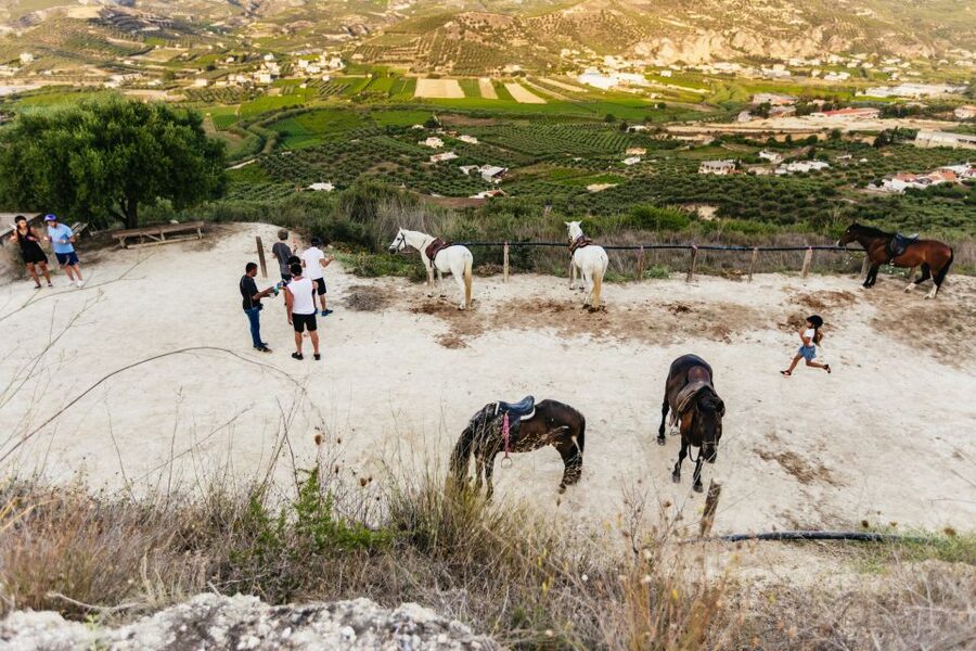 Heraklion: Finikia Horse Riding Tour with Lunch or Dinner - Who should book Finikia, and who should think twice