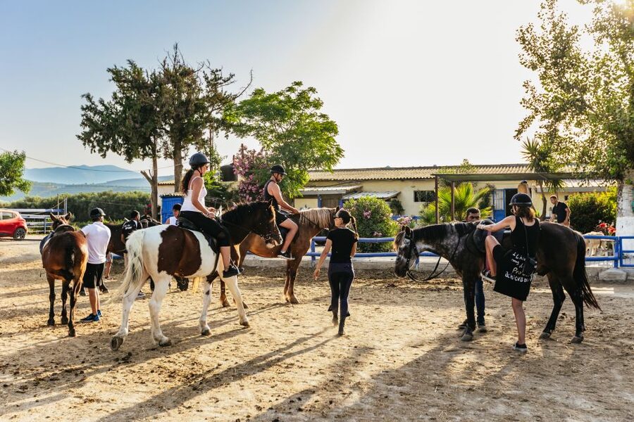 Heraklion: Finikia Horse Riding Tour with Lunch or Dinner - Should you book this tour?