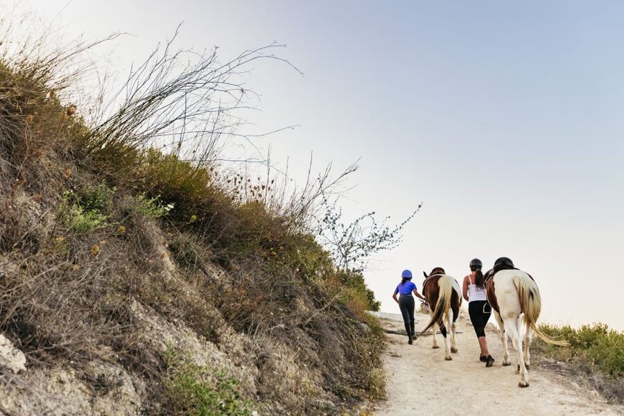 Heraklion: Horse Ride in the Cretan Mountains - Timing, Weather, and the Small Logistics That Matter