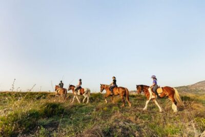 Horse Ride in the Cretan Mountains