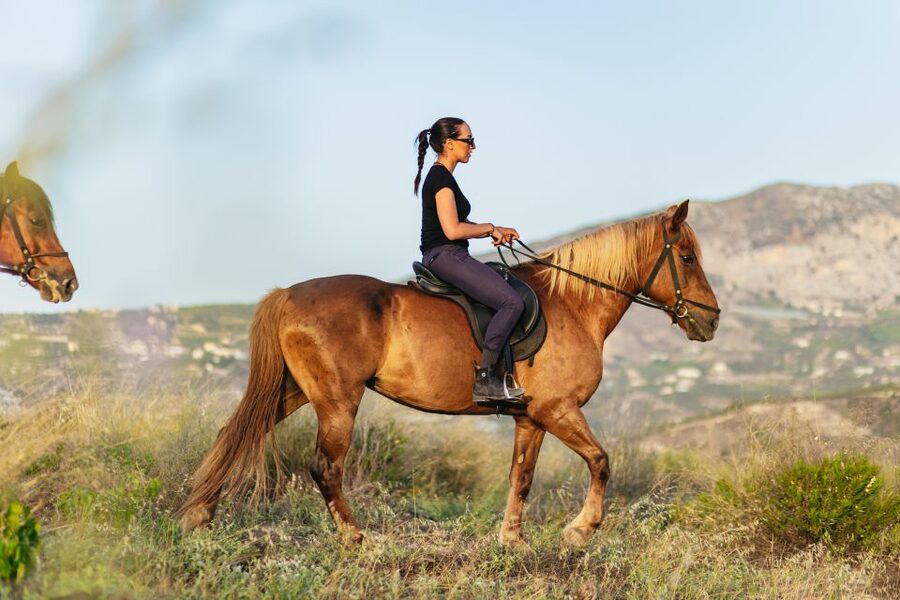 Heraklion: Horse Ride in the Cretan Mountains - How the Guides Make It Work for Beginners and Experienced Riders