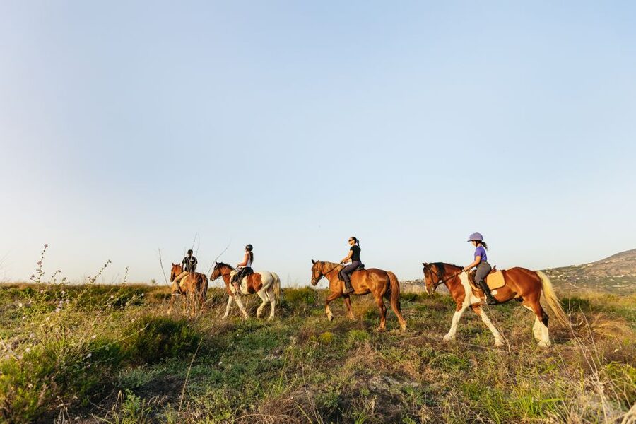 Heraklion: Horse Ride in the Cretan Mountains - The First Step Is Training, Not Guesswork