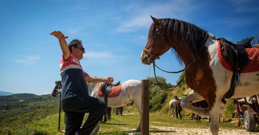 Heraklion: Horseriding Day Tour with Lunch and Transfer - Key things I noticed on this Finikia horse ride
