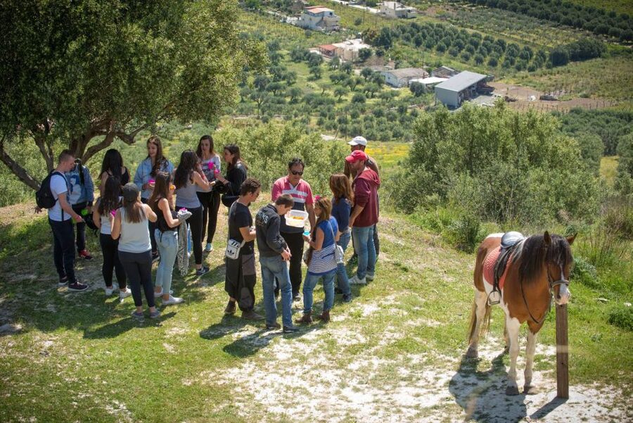 Heraklion: Horseriding Day Tour with Lunch and Transfer - From Heraklion Hotels to the Finikia Ranch, without the hassle