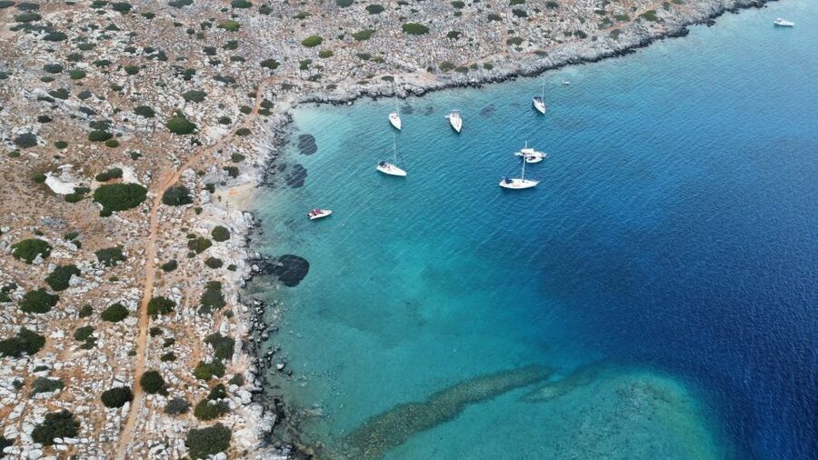 Heraklion: Nature Reserve Dia Island Full-Day Cruise & Lunch - Dolphins and the sea show on the return trip
