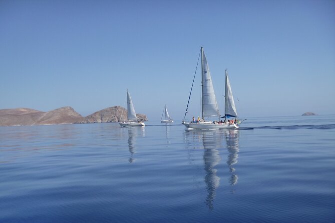 Heraklion: Nature Reserve Full day sailing to Dia Island & Lunch - Gear Included: Snorkeling Equipment and a SUP Board
