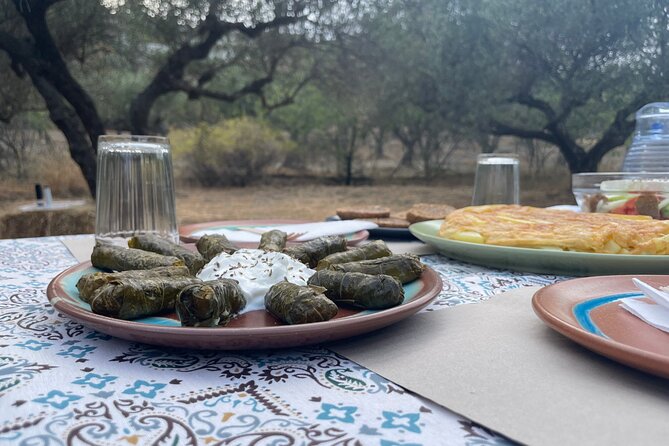 Heraklion:Olive & Dragon Fruit Farm Tour & Cretan Farmers Brunch - Stop 1: Cretan Dragon Farm and Olive Oil Culture in the Same Visit