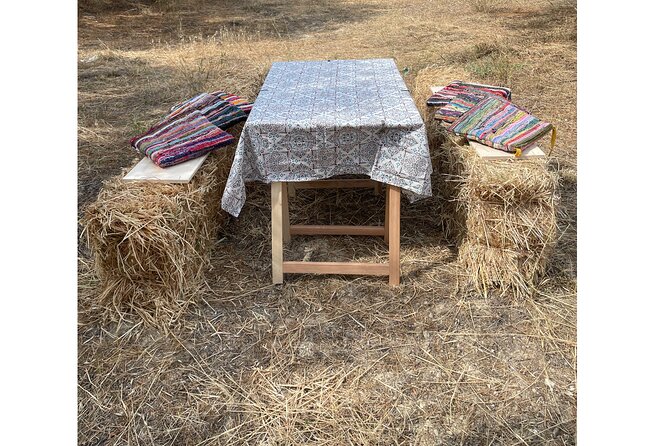 Heraklion:Olive & Dragon Fruit Farm Tour & Cretan Farmers Brunch - The Cretan Farmers Brunch Under Olive Trees