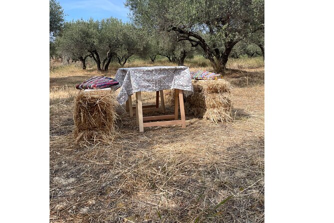 Heraklion:Olive & Dragon Fruit Farm Tour & Cretan Farmers Brunch - The Views Over Dia Island, Plus the Nearby Sea Sound