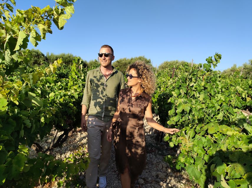 Heraklion: Olive oil and Wine Tour with Lunch - Who should book this tour, and who should skip it