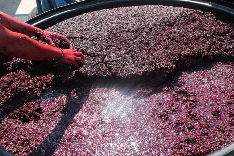 Heraklion: Olive oil and Wine Tour with Lunch - Alagni winery time: biodynamic vines, cellar access, and 6-wine tasting
