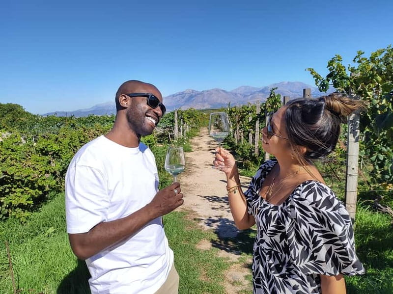 Heraklion: Olive oil and Wine Tour with Lunch - Scenic walking on olive groves and vineyards, without the hiking fantasy