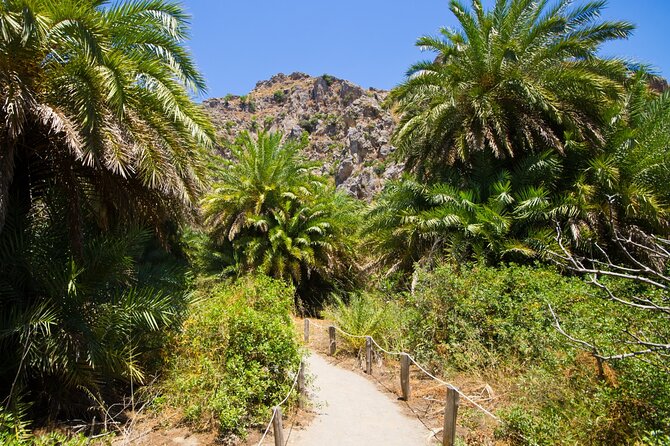Heraklion: Preveli Boat Trip, Damnoni & Kourtaliotiko springs - Preveli Palm Beach: swim in the river meets sea scene