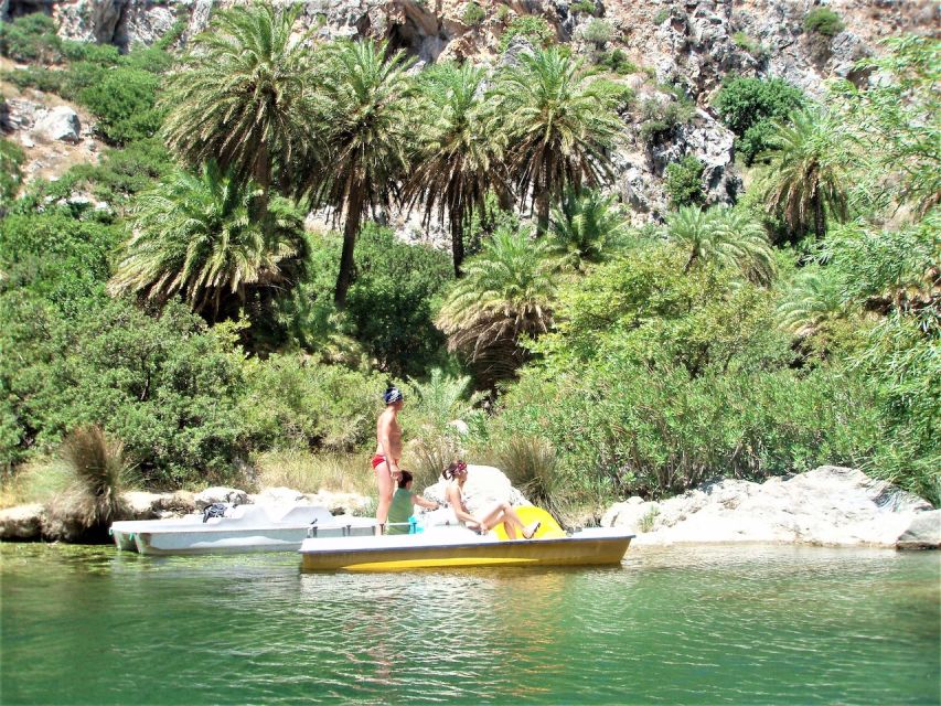 Heraklion: Preveli By Boat, Damnoni & Kourtaliotiko Springs - Preveli Palm Beach by boat: the palm forest effect is real