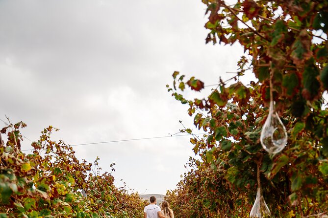 Heraklion Private Half-Day Gastronomy Diaries Experience in Lyrarakis Winery - Price and value: what you are really paying for at $276.95 per person
