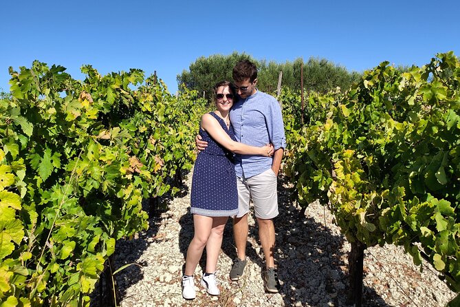 Heraklion Private Olive Oil and Wine Gastronomy tour with Lunch - Who this tour suits best, and who might want a different plan
