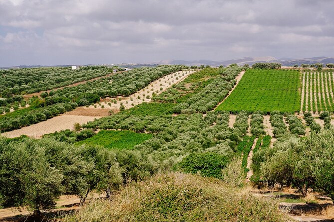 Heraklion Private Olive Oil and Wine Gastronomy tour with Lunch - Should you book? My decision guide for Heraklion olive oil and wine