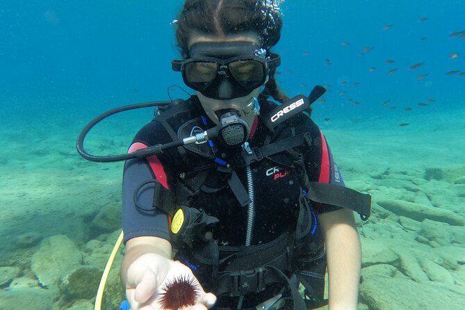 Heraklion: Scuba Diving Experience for Beginners - Training time that actually helps you feel safe