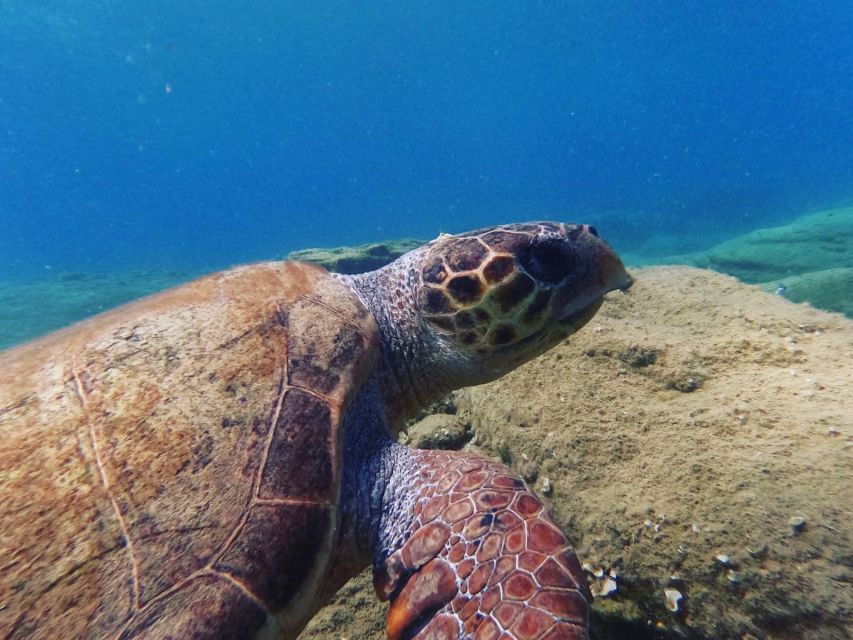 Heraklion: Scuba Diving Experience for Beginners _Beach - Equipment, photos, and the real cost of remembering the day