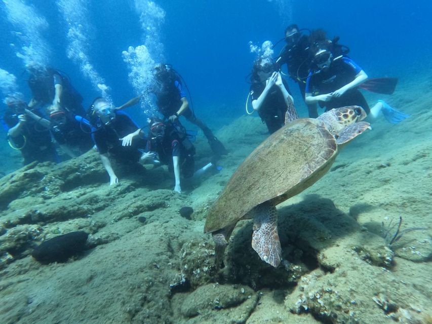 Heraklion: Scuba Diving Experience for Beginners _Beach - Getting to the beach and back from Heraklion and nearby resorts