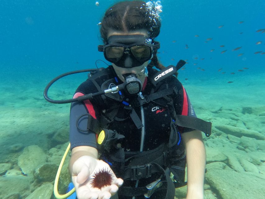 Heraklion: Scuba Diving Experience for Beginners _Beach - How long it really feels, and what to do while waiting