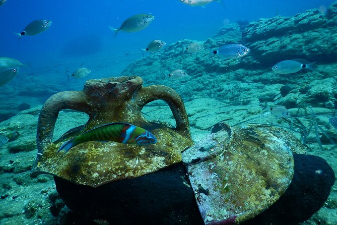 Heraklion: Scuba Diving Experience for Beginners - How underwater communication works in the real world