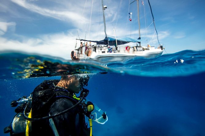 Heraklion: Scuba Diving Experience for First-Timers - Key highlights you should care about