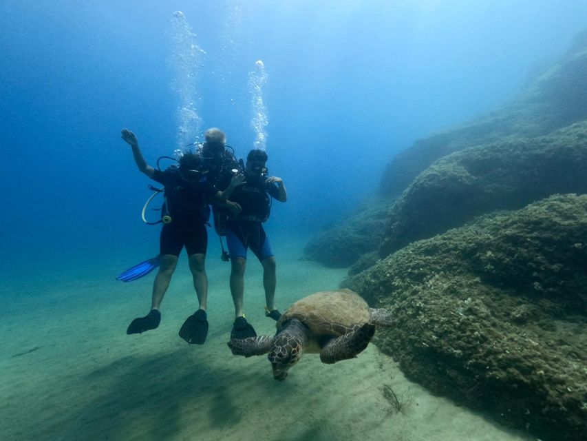 Heraklion: Scuba Diving Experience for First-Timers - Who This Fits Best, and Who Should Skip It