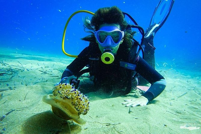 Heraklion: Scuba Diving Experience for First-Timers - Ligaria sea life: what you’ll actually notice during your session