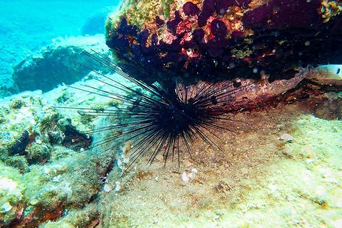Heraklion: Scuba Diving Experience for First-Timers - Instructor support and safety: what calm coaching looks like