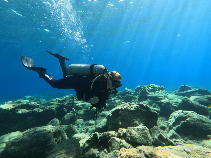 Heraklion: Try Scuba Diving For Beginners (1 dive) - The beginner underwater session, shallow and tightly guided