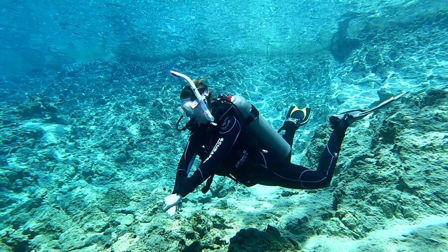 Heraklion: Try Scuba Diving For Beginners (1 dive) - What you might see: fish, corals, and a few surprise sightings