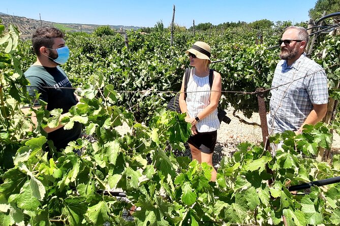 Heraklion wine tour & Cretan meze lunch - The value question: is $228.30 per person worth it?